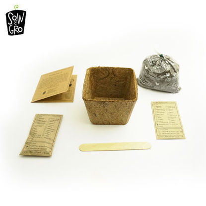 Picture of Sow & Grow Plant Kit - Marigold