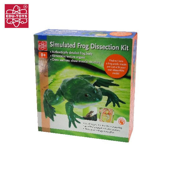 simulated frog dissection