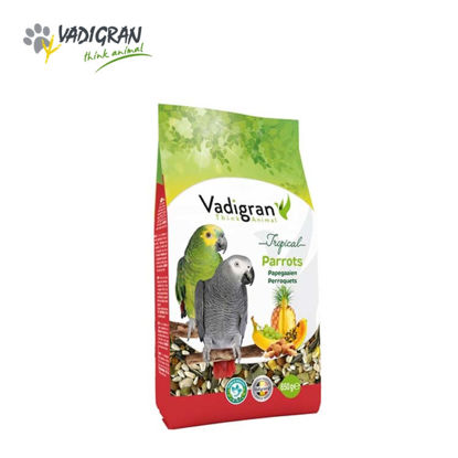 Picture of Vadigran Parrot Tropical 650 Grams
