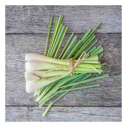 Picture of Tanglad (Lemongrass)