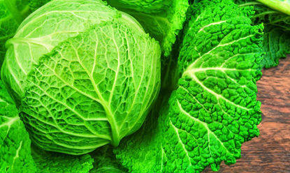 Picture of Cabbage 500 Grams
