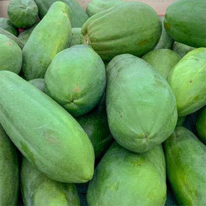 Picture of Papaya-Hilaw  (Papaya - Unripe) Per Piece(Approx. 1klto1.5kl)