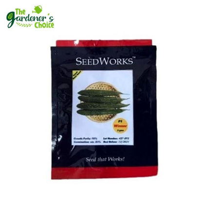 Picture of The Gardener's Choice Ampalaya (Seedworks) 5grams