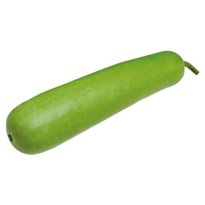 Picture of Upo (Bottle Gourd)