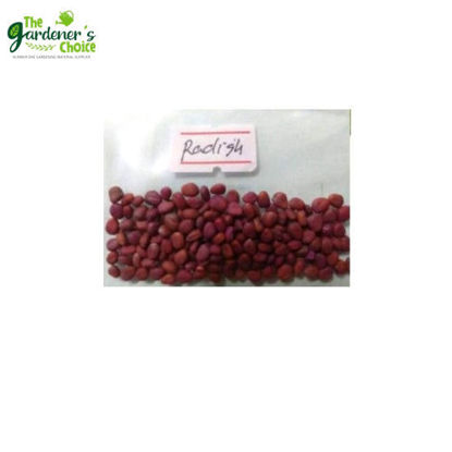 Picture of The Gardener's Choice Radish Seeds