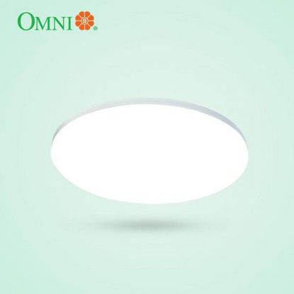 Picture of Omni LLSC-22WDL 22 Watts LED Surface Type Ceiling Lamp  -13 inches
