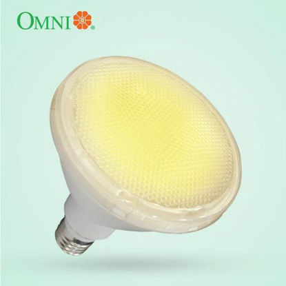 Picture of Omni LPR30E27-10W/W 10 Watts LED Par 30 Lamps Weatherproof IP65 Warm White
