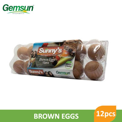 Picture of Gemsun Sunny Brown Egg 12pcs - 091920