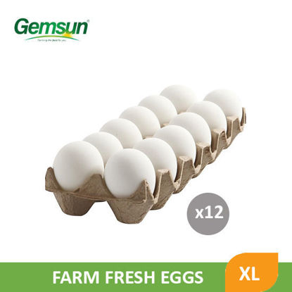 Picture of Gemsum Fresh Egg XL 12pcs - 042737