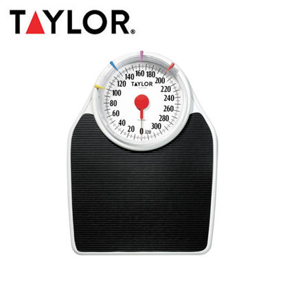 Picture of Taylor 7in Speedometer Scale-1130